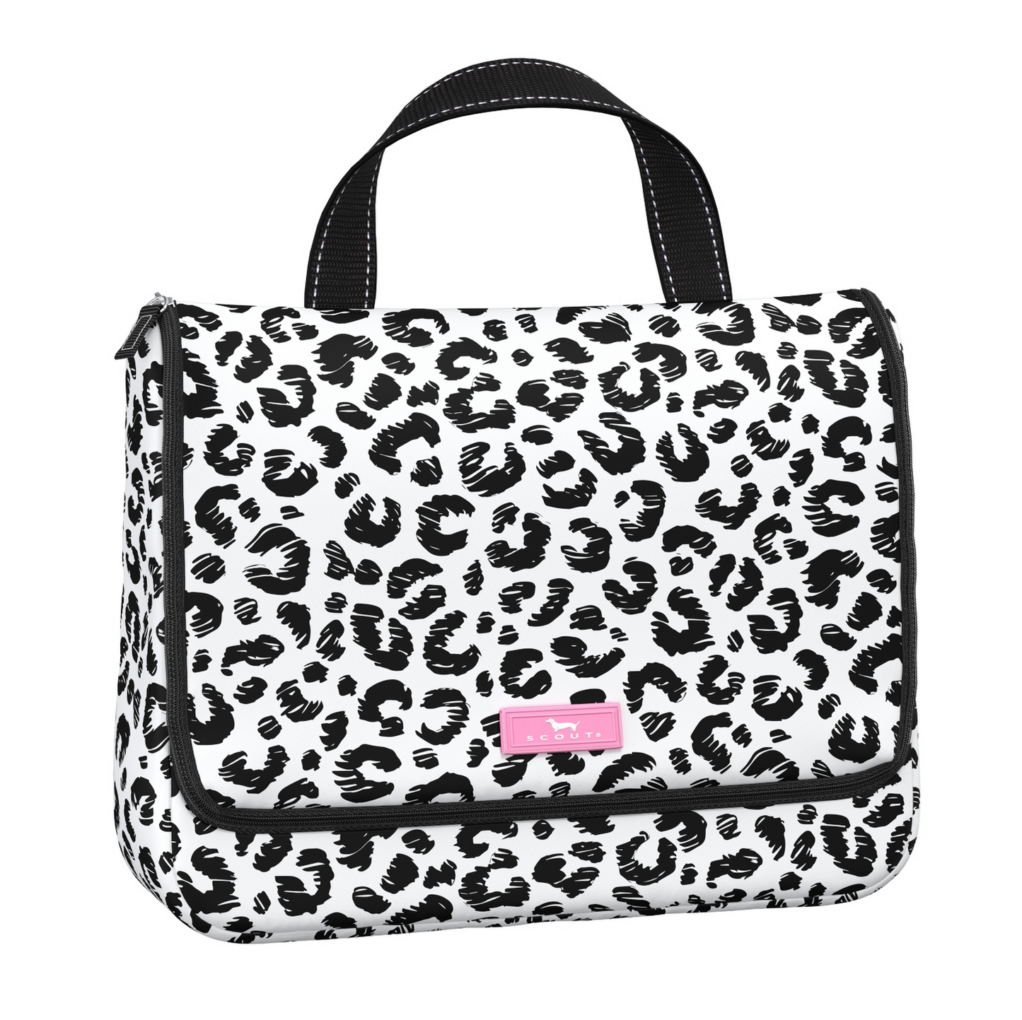 Scout Beauty Gordito Cat Skills Sale