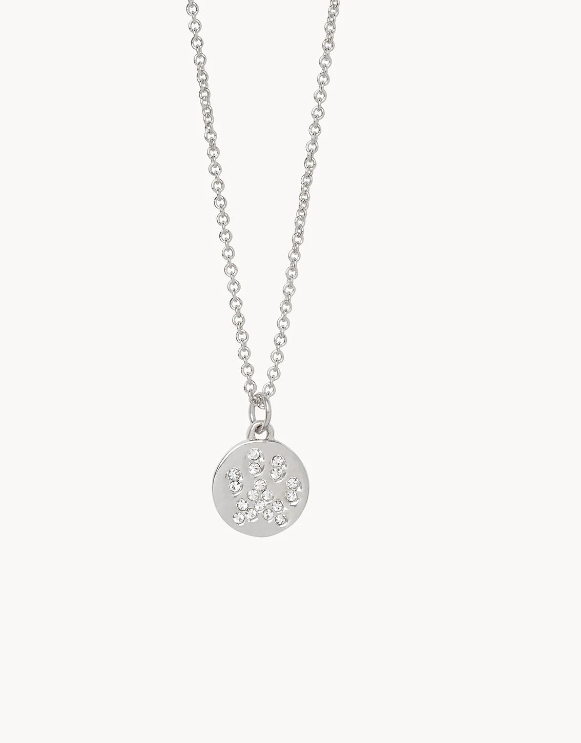 Sea La Vie Necklace 18" Animal Lover/Paw Sliver