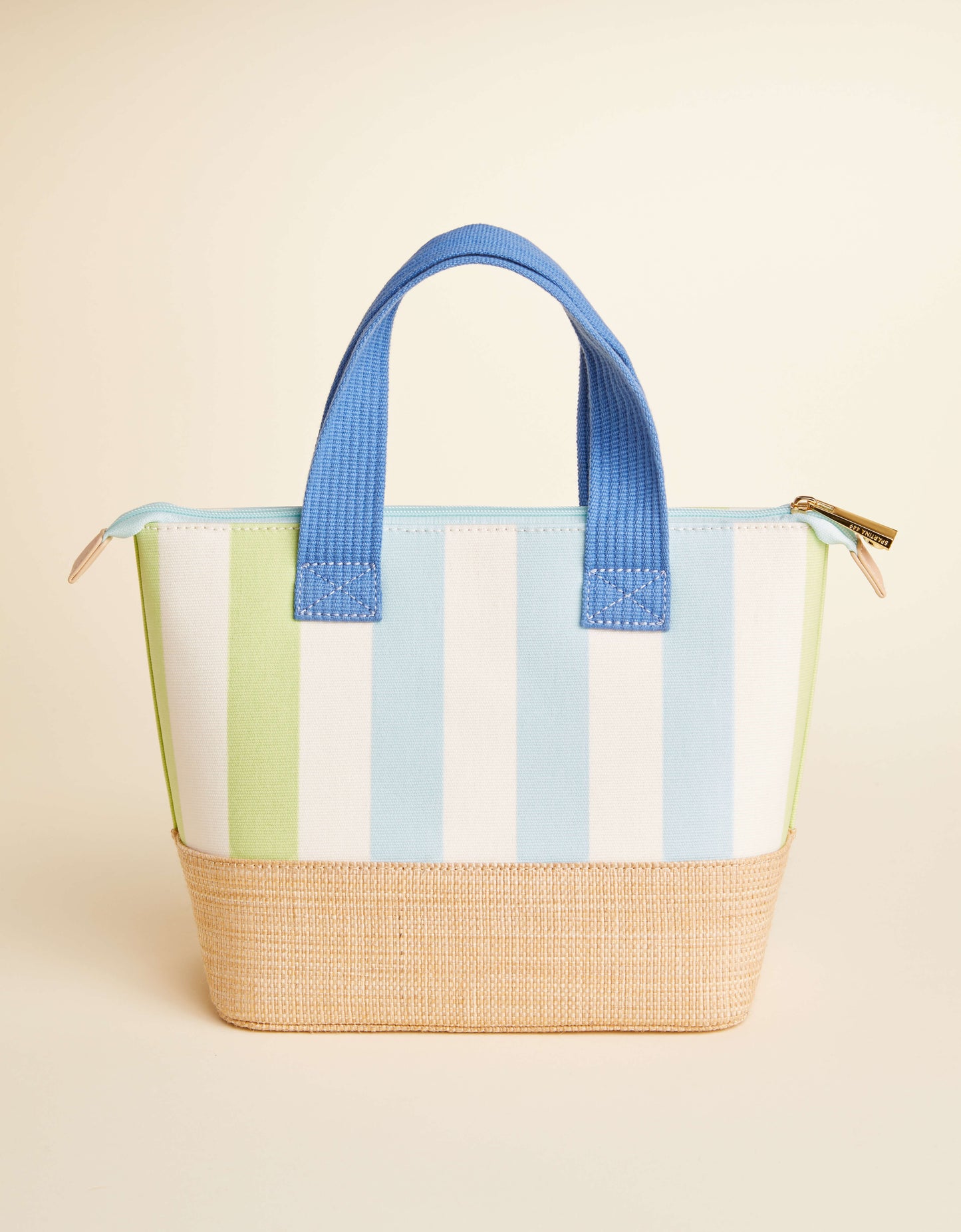 Out to Lunch Bag Overboard Stripe