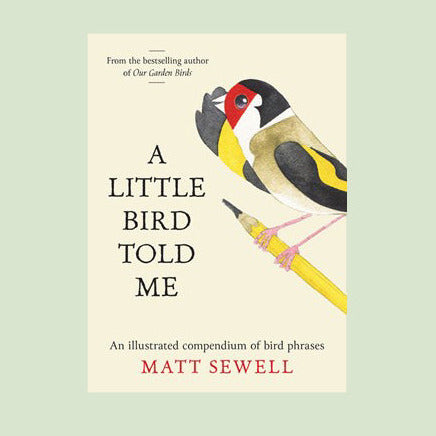 A Little Bird Told Me Book