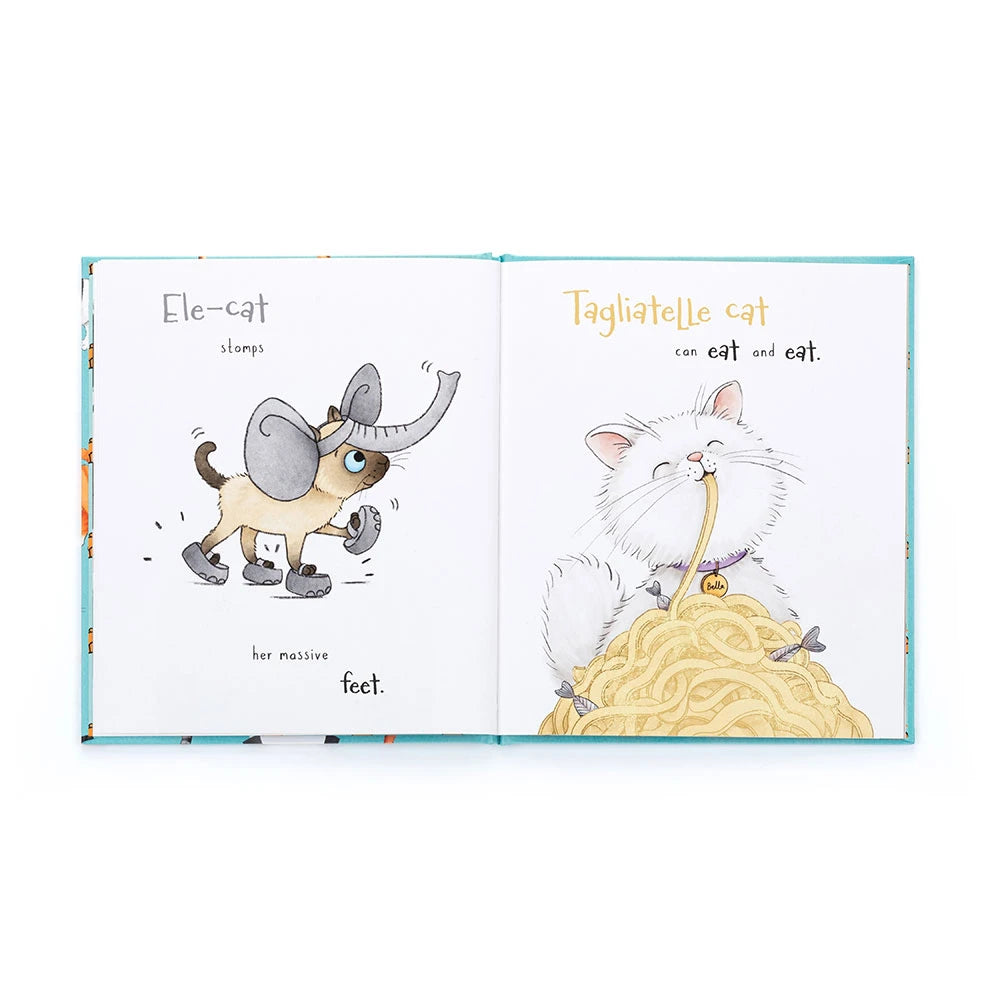 All Kinds of Cats Book
