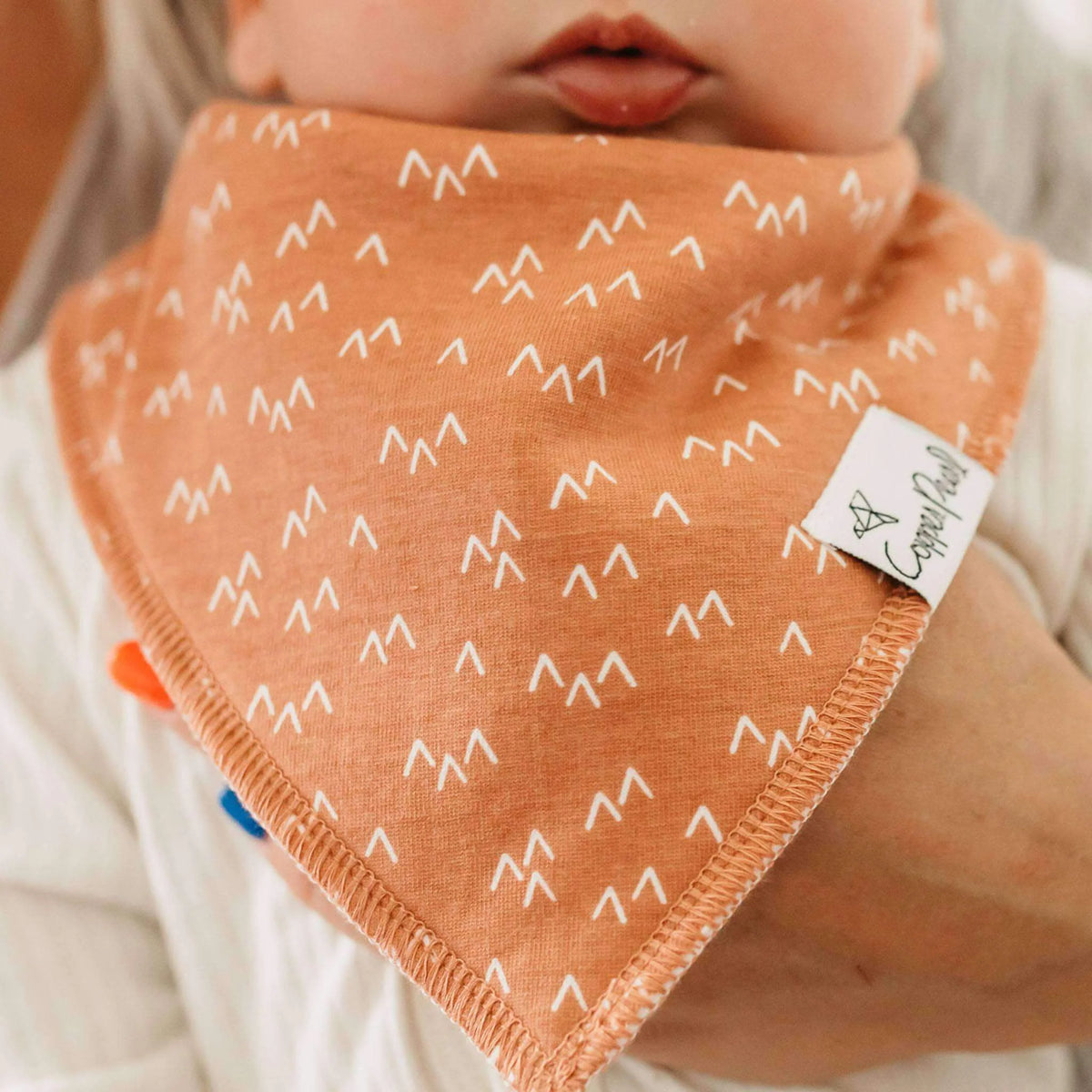 Bandana Bibs Atwood Set of 4