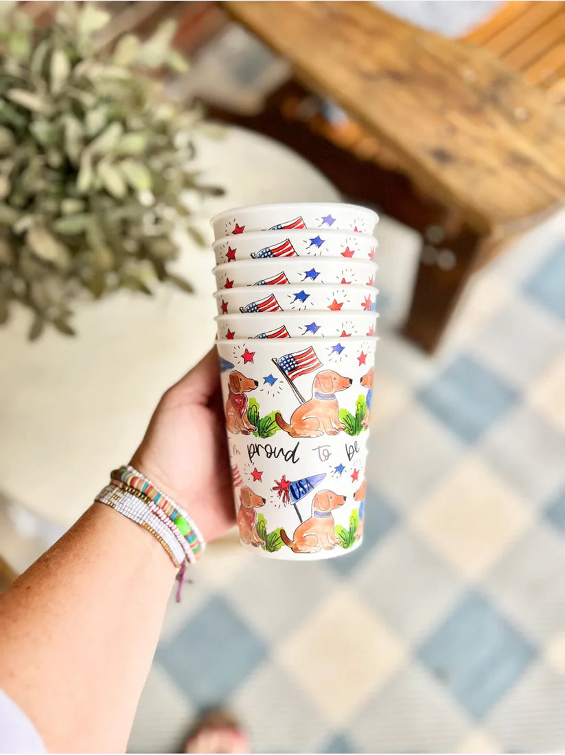 HBD America Reusable Cups, Set of 6