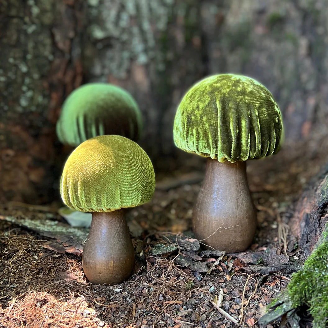 Mushroom Green Set of 3 Velvet