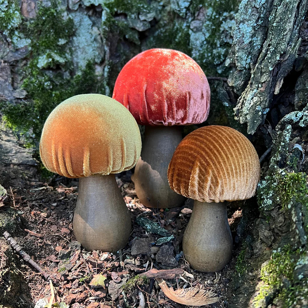 Mushroom Rust Set of 3 Velvet