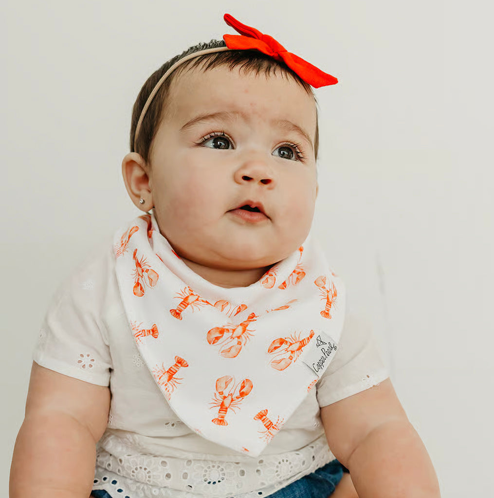 Bandana Bibs Set of 4 Fischer