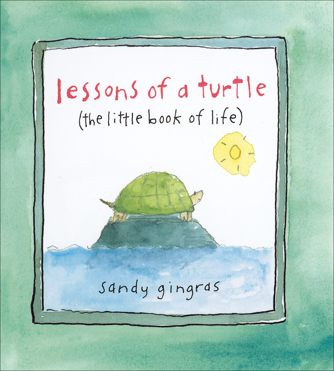 Lessons of a Turtle Book
