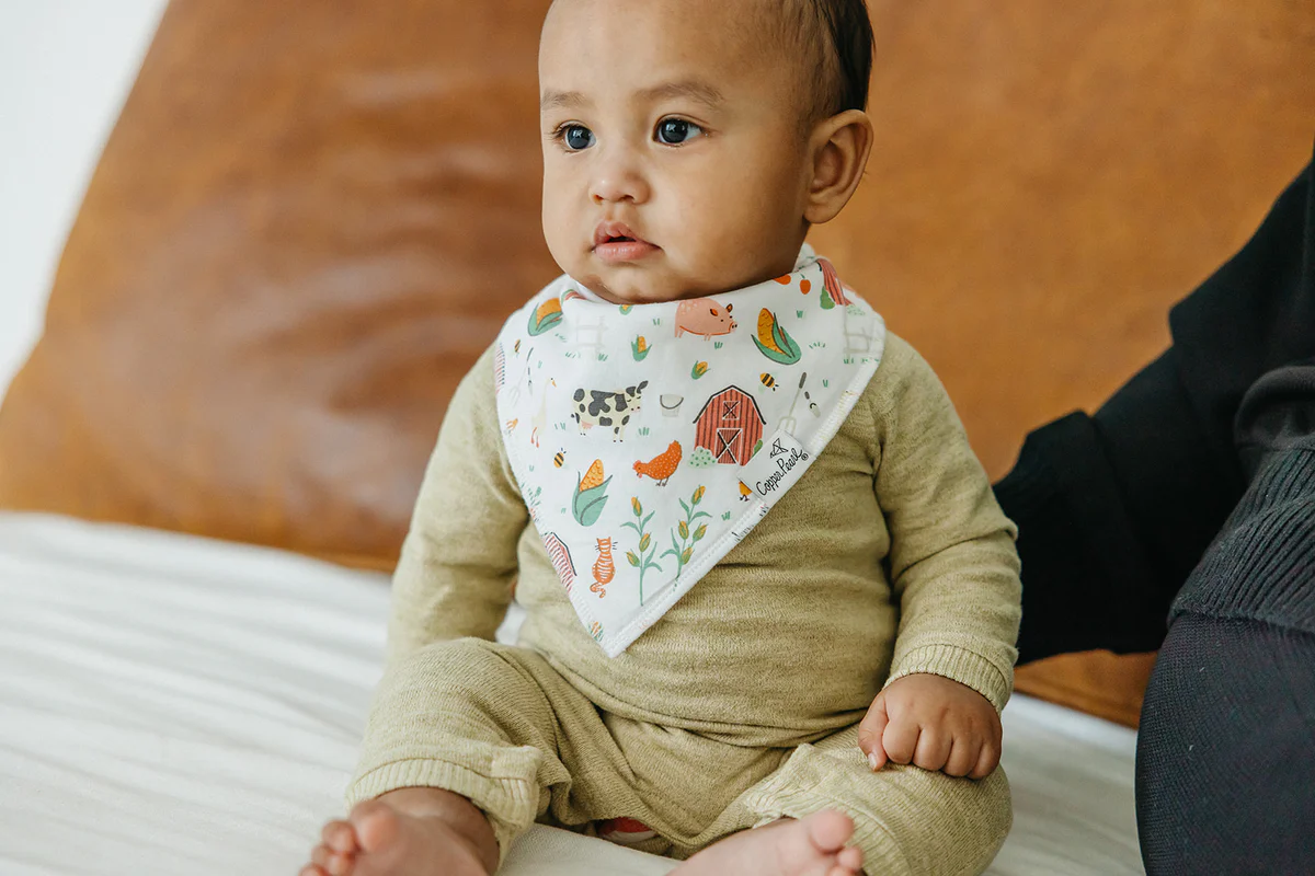 Bandana Bibs Set of 4 Farmstead