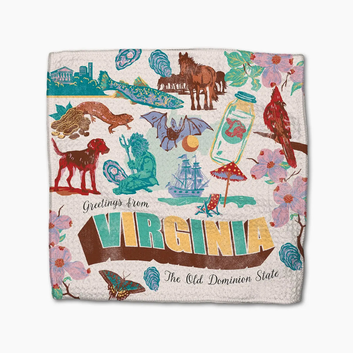 Greetings from Virginia Dishcloth Set of 3