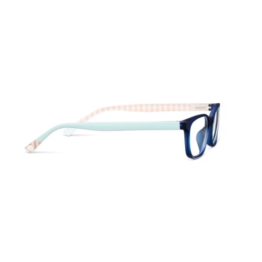 Peepers Readers Beach Read Navy/Summer Stripe