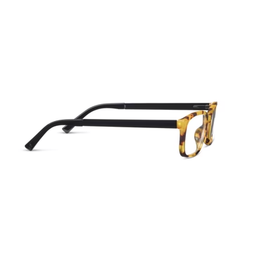 Peepers Readers Memphis Tokyo Tortoise