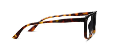 Otto Tortoise Readers