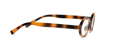 Filly Mocha Tortoise Readers