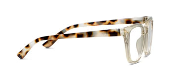 Lenora Fog/Chai Tortoise Readers