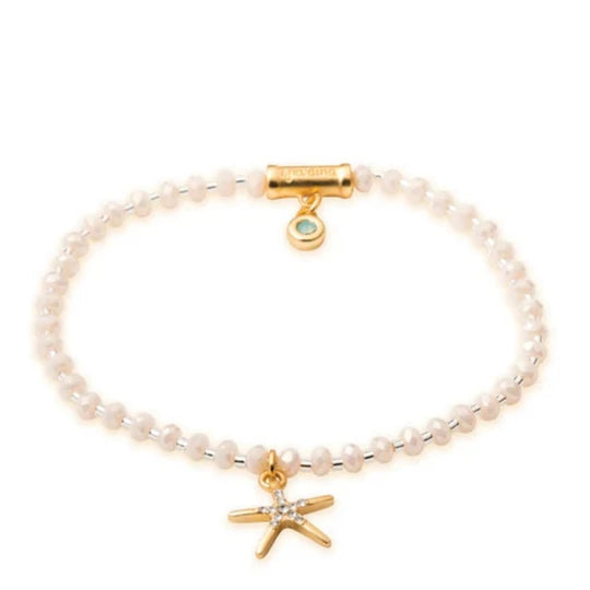 Twinkle Stretch Bracelet Cream Starfish