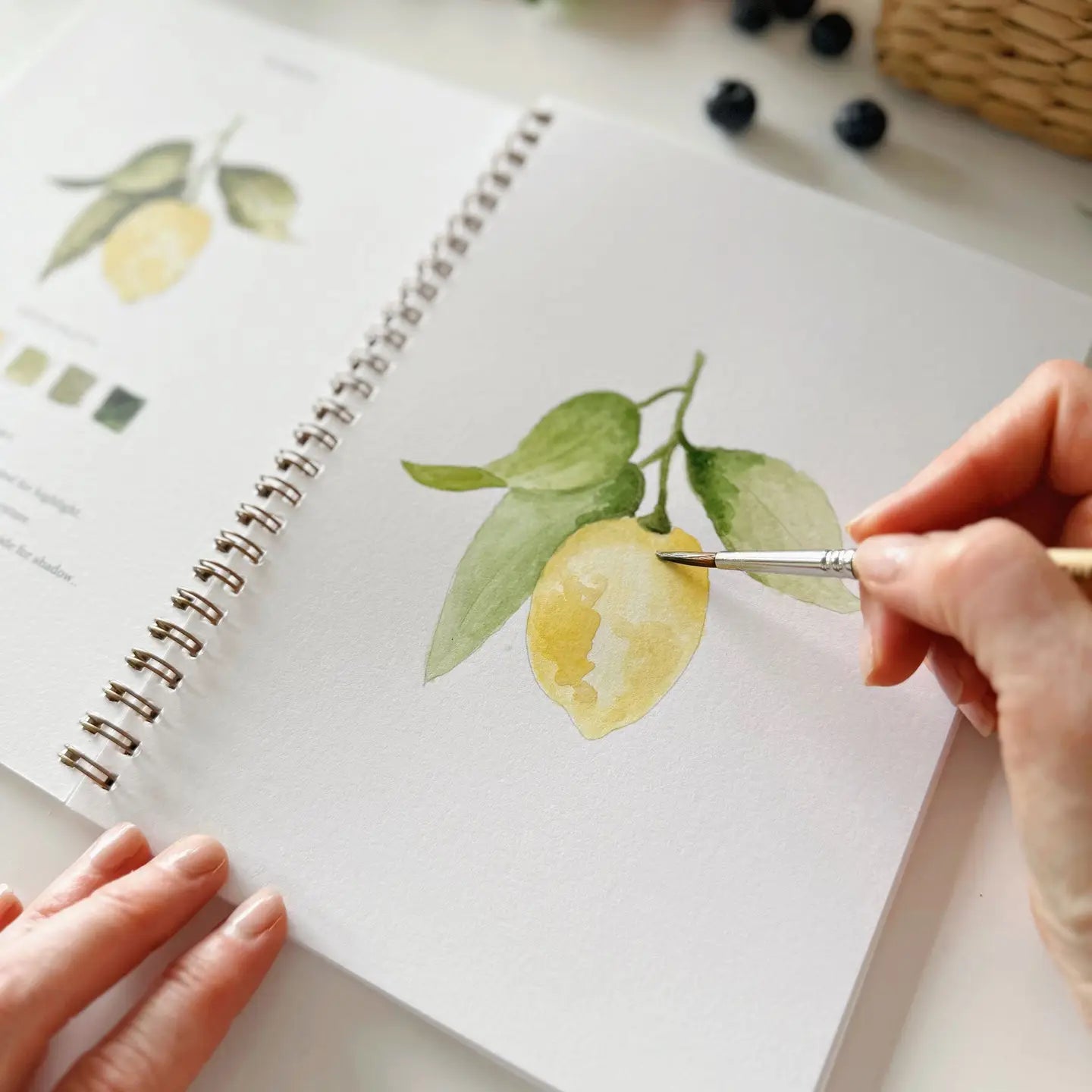 Watercolor Workbook Fruit