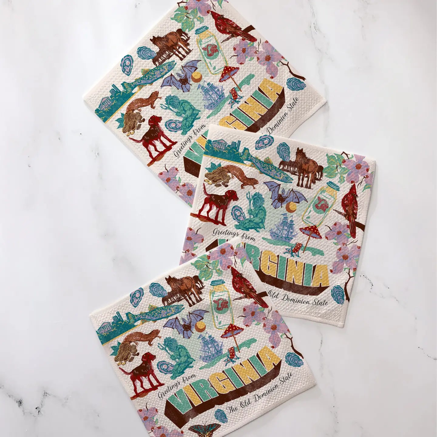 Greetings from Virginia Dishcloth Set of 3
