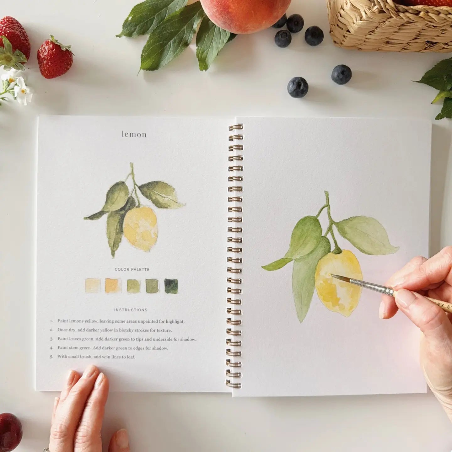 Watercolor Workbook Fruit