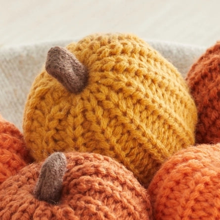Honey Colorful Knit Pumpkin Mini
