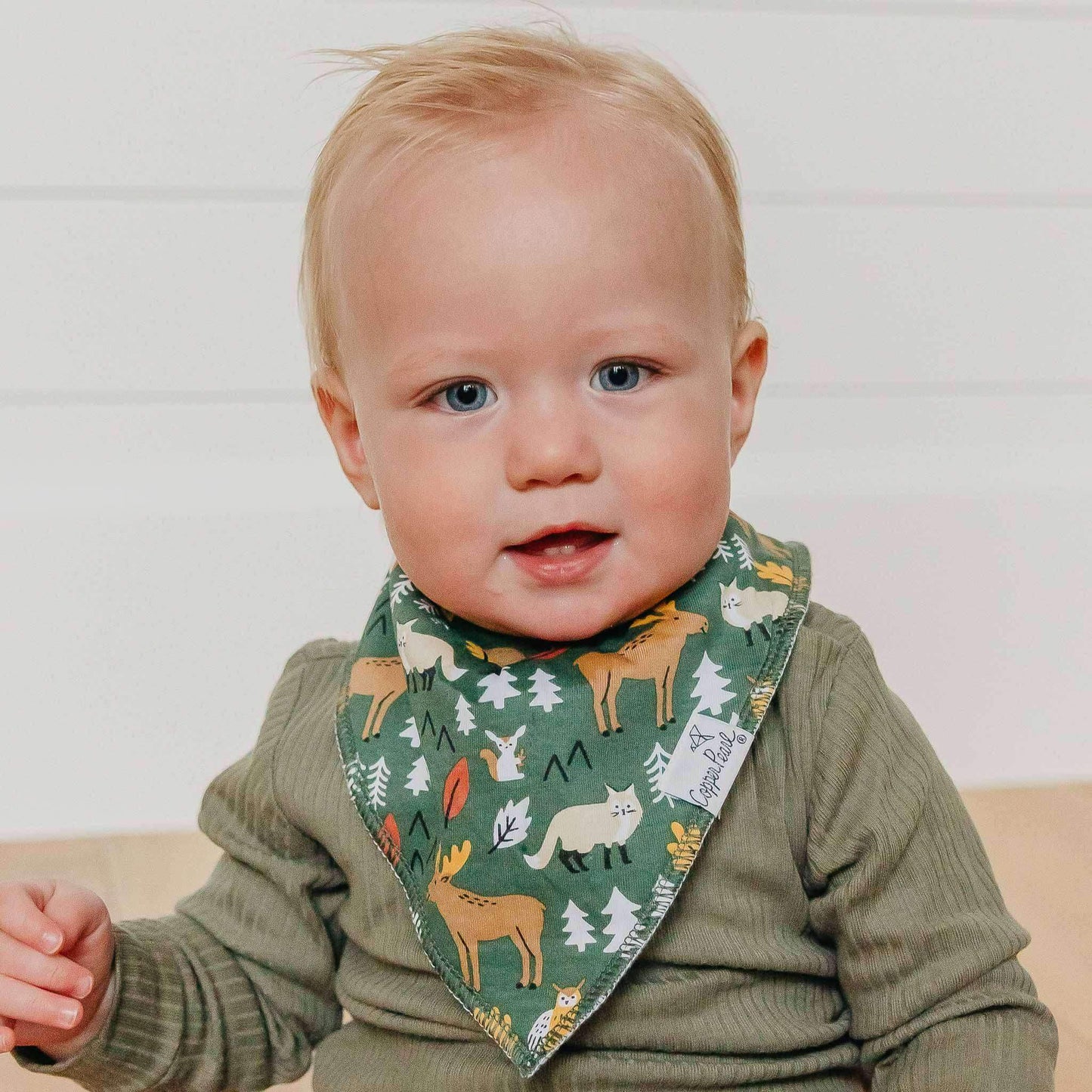 Bandana Bibs Atwood Set of 4