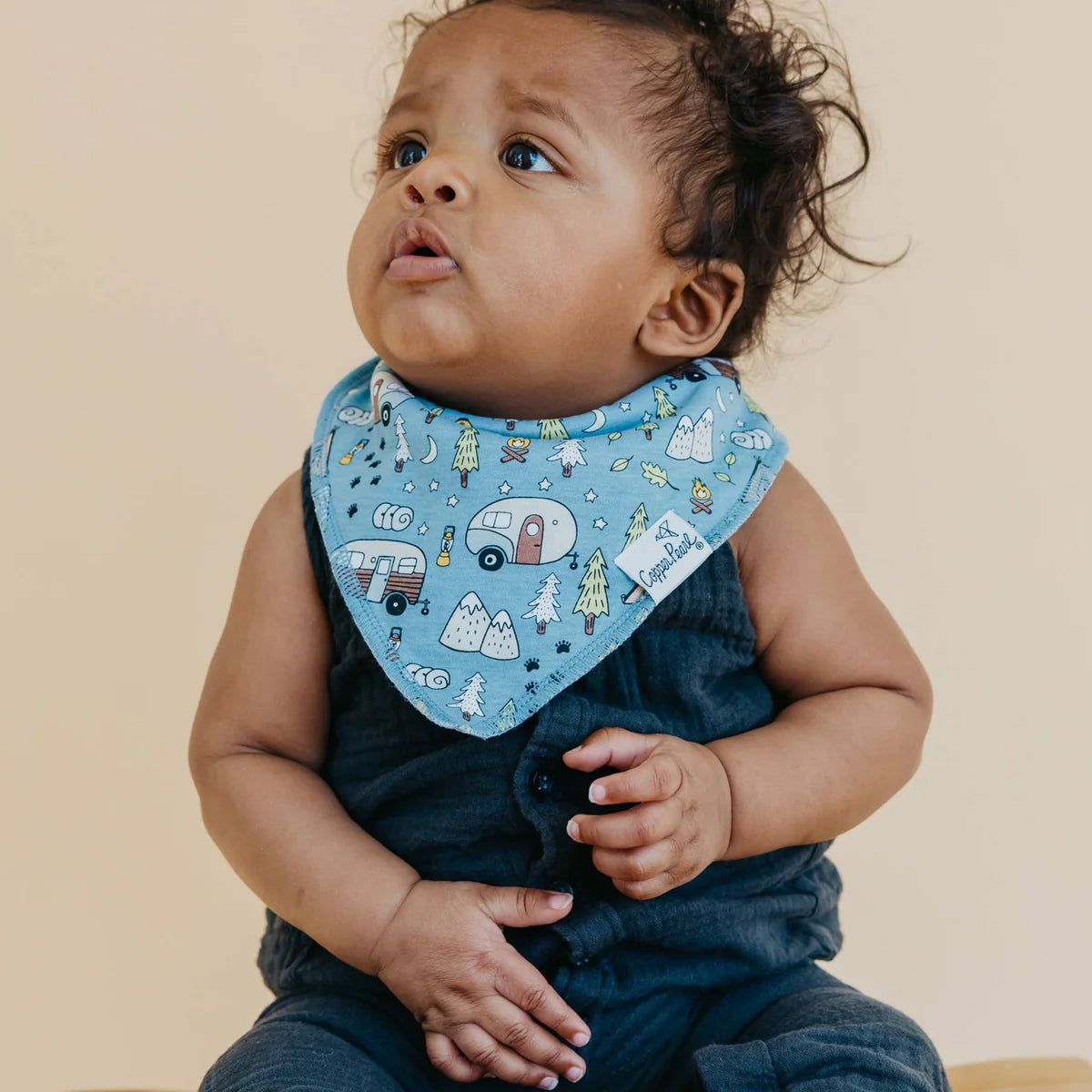 Bandana Bibs Set of 4 Bridger