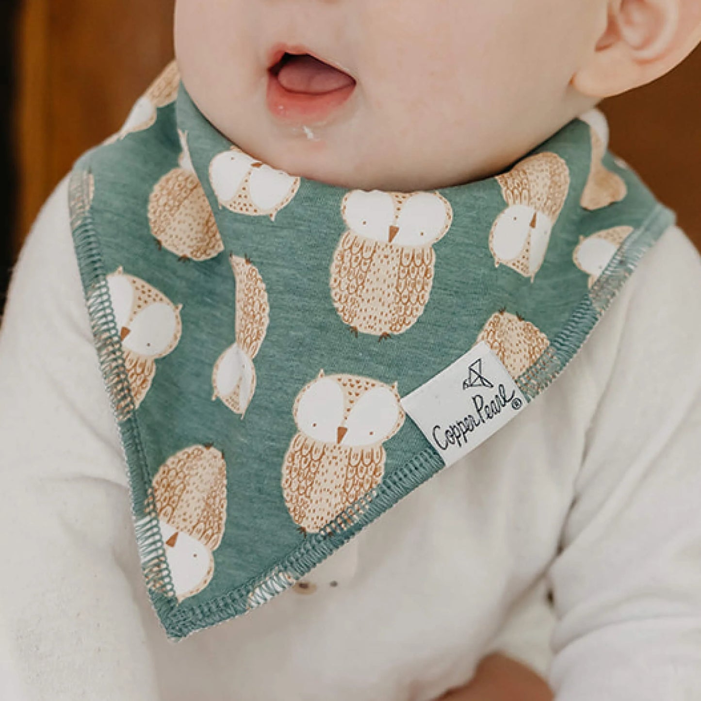Bandana Bibs Ivy Set of 4