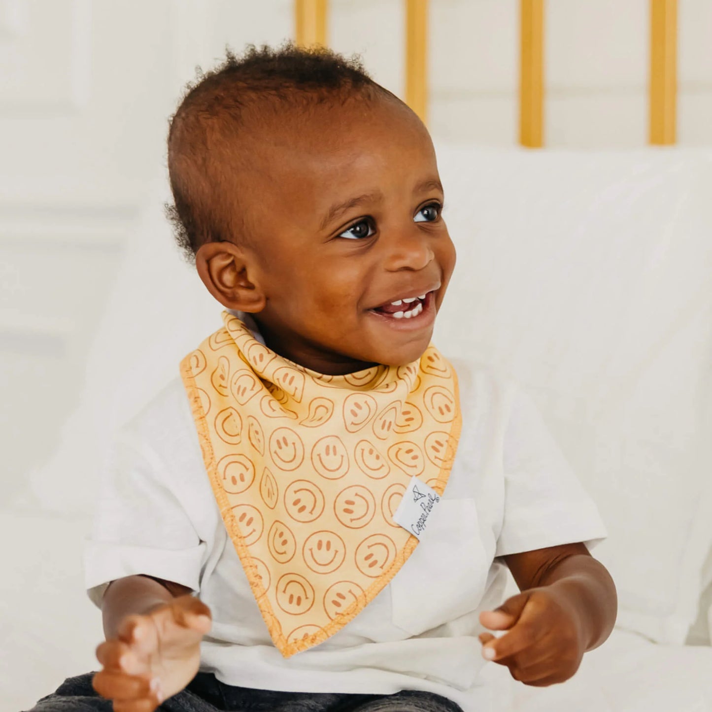 Bandana Bibs Vance Set of 4