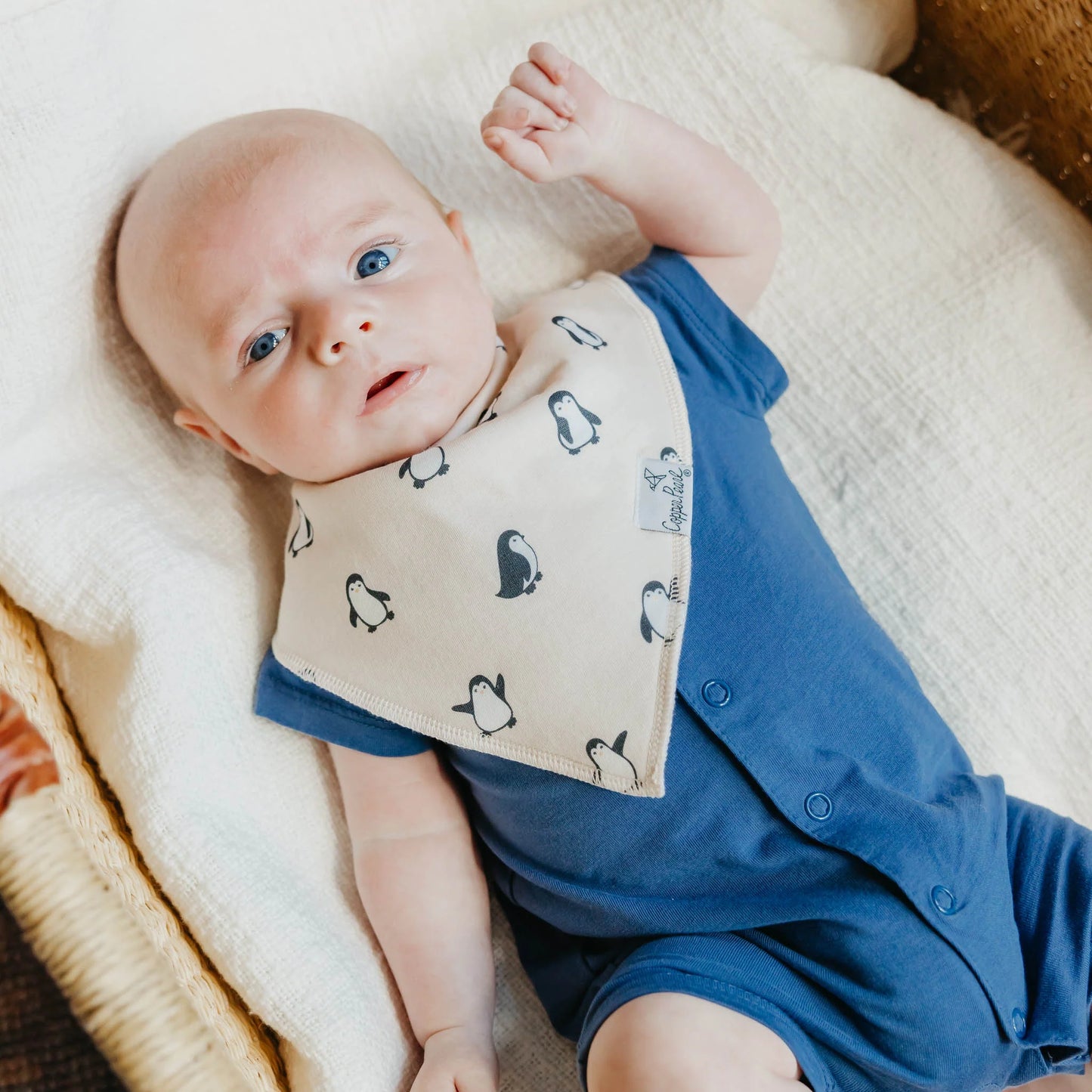 Bandana Bibs Arctic Wonder Set of 4