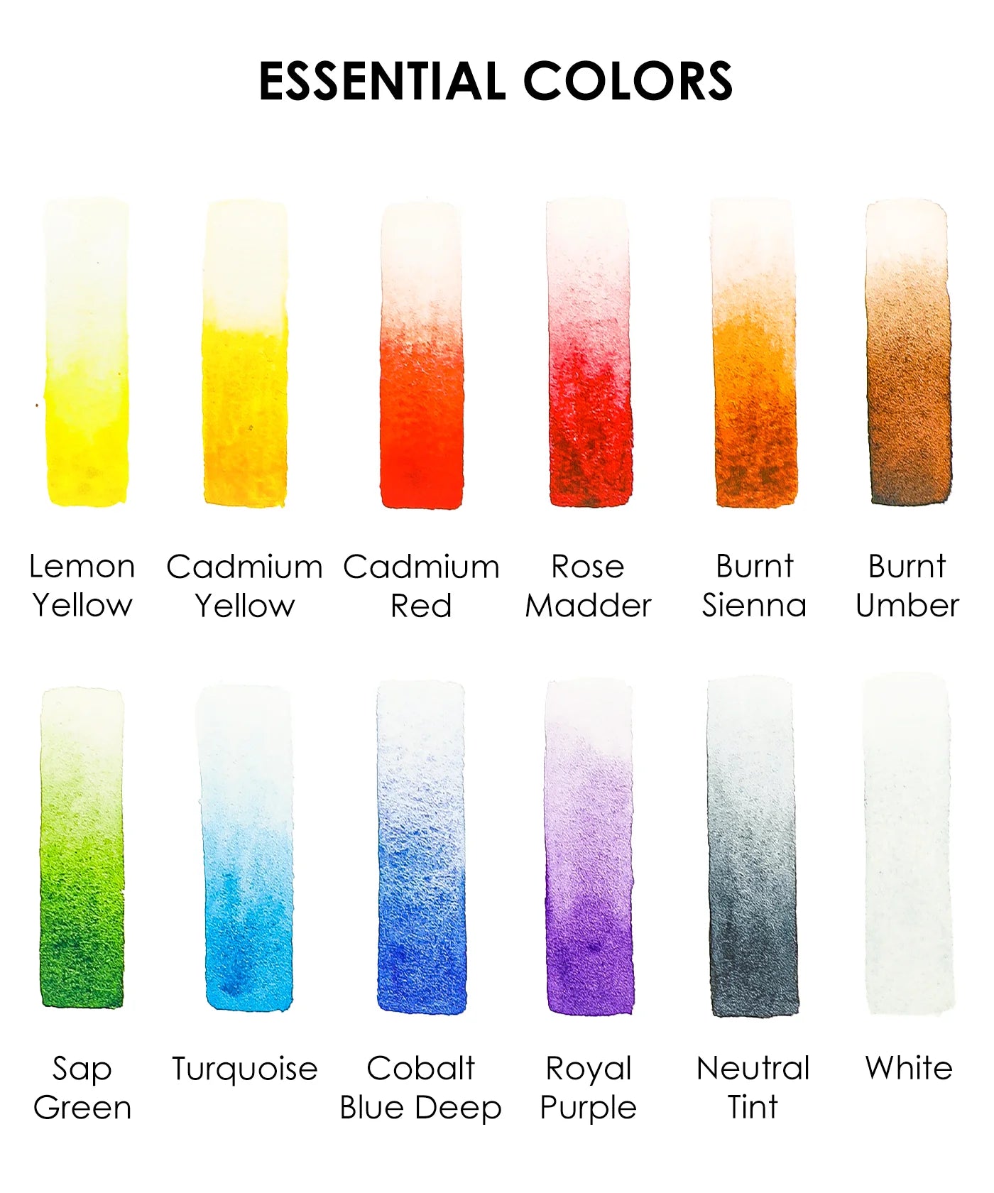 Watercolor Pocket Set of 12 with Brush Essential Colors