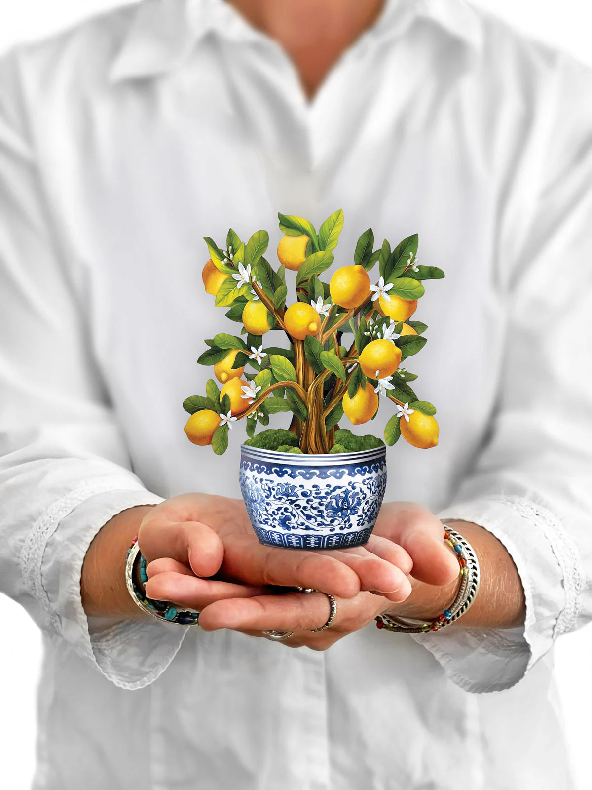 Mini Lemon Tree Pop-up Card