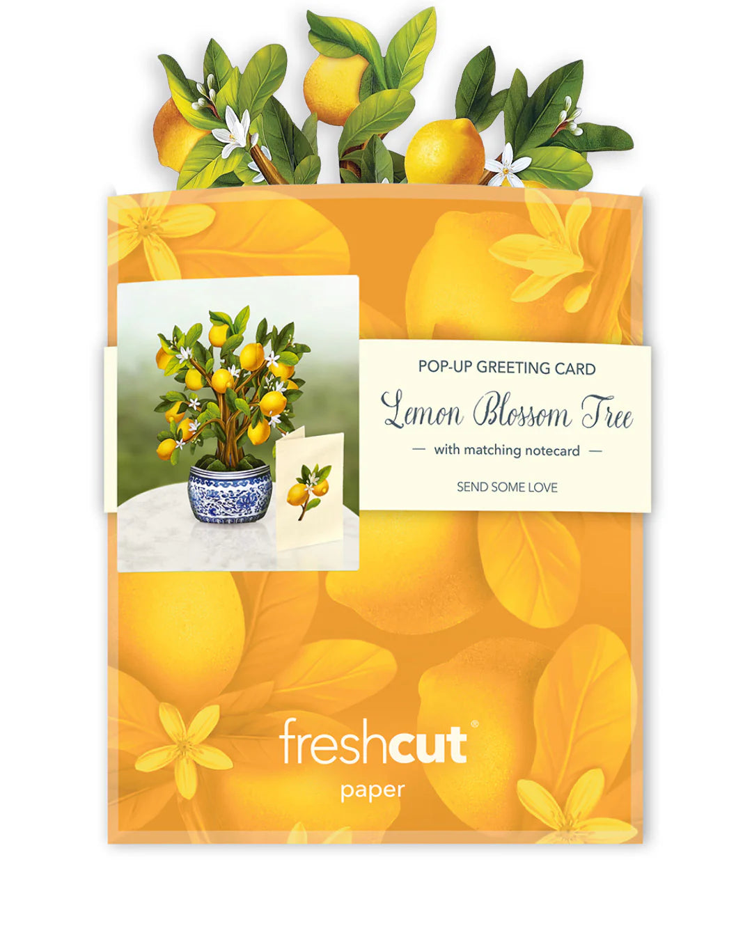 Mini Lemon Tree Pop-up Card