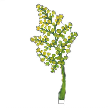 Maidenhair Small Acrylic Flower
