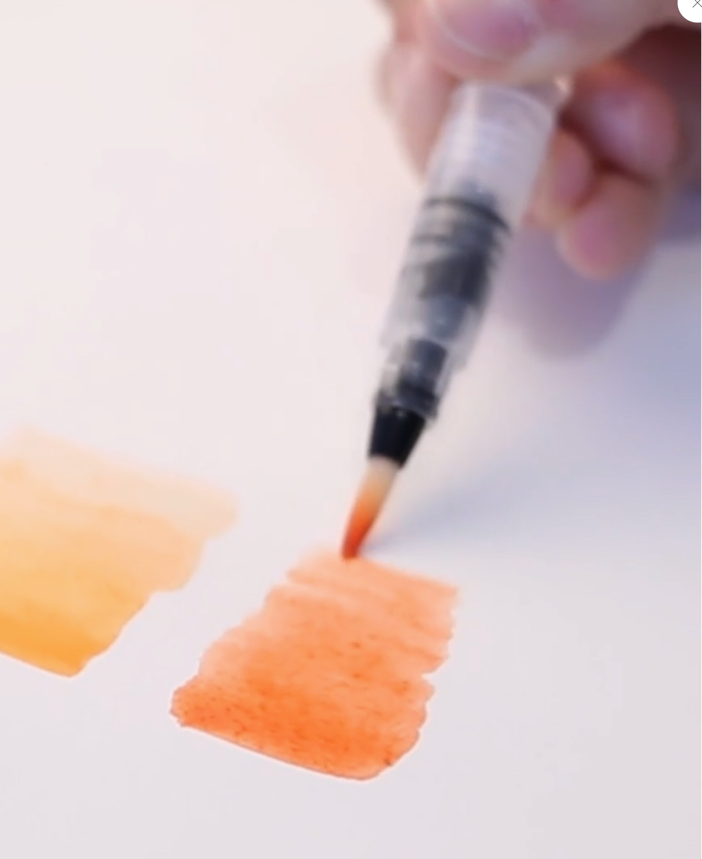 Watercolor Paint Set