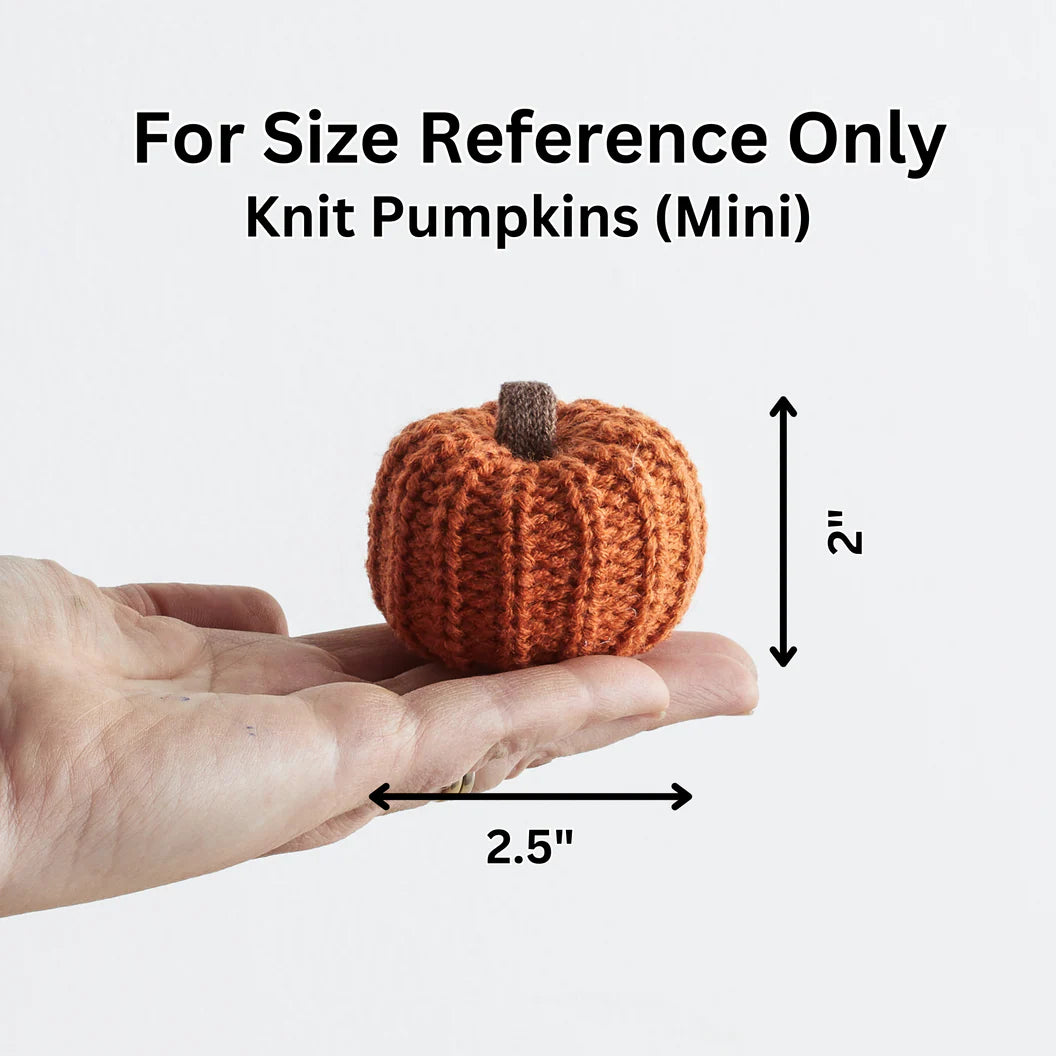 Honey Colorful Knit Pumpkin Mini