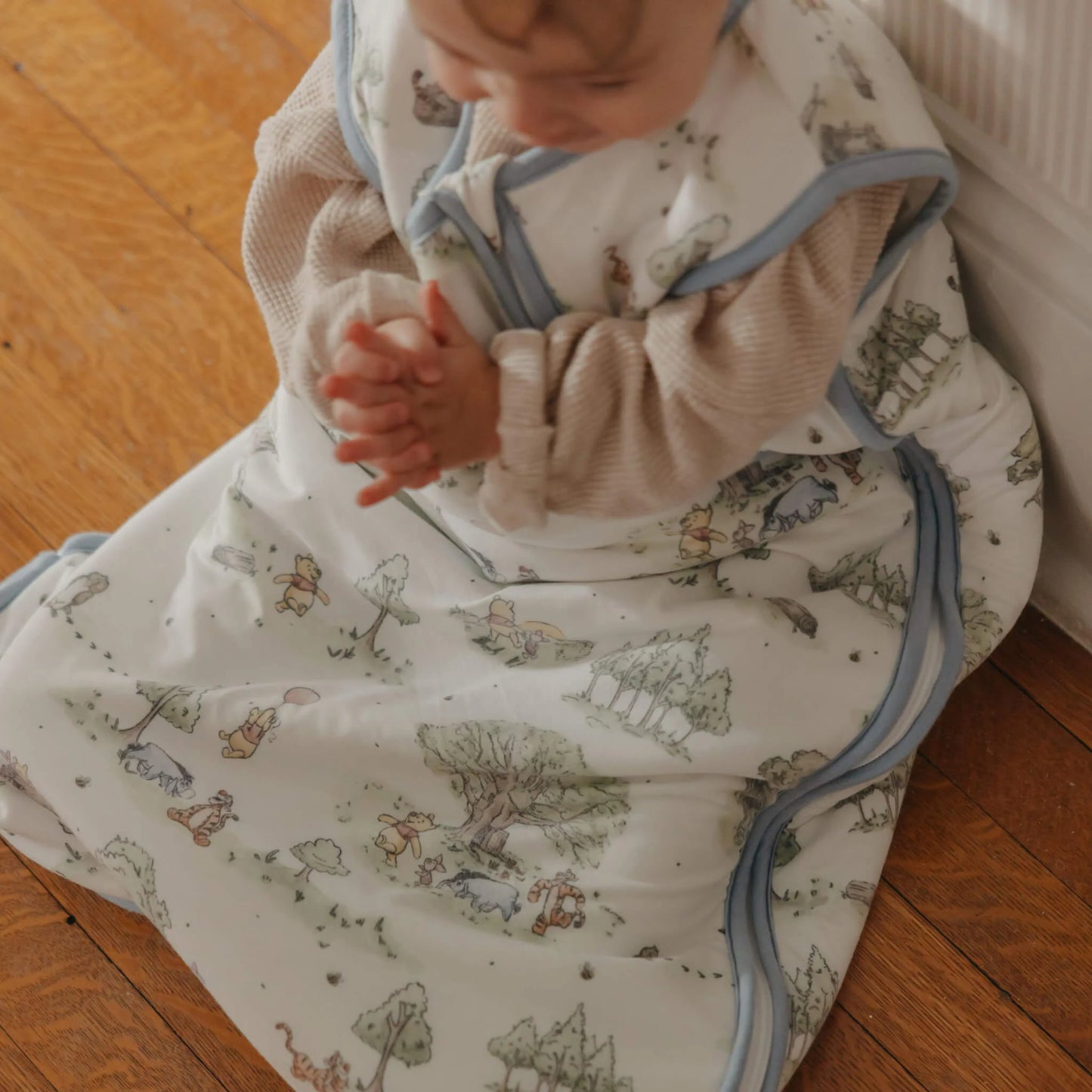 Sleep Bag Hundred Acre Wood