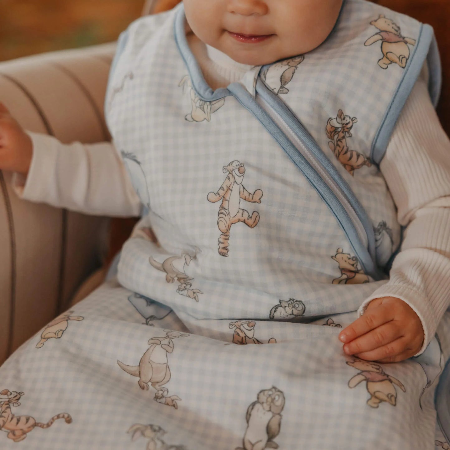 Sleep Bag Winnie the Pooh and Friends
