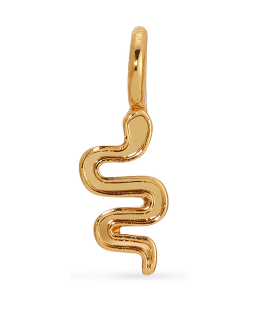 Charm Garden Gold Charm Snake