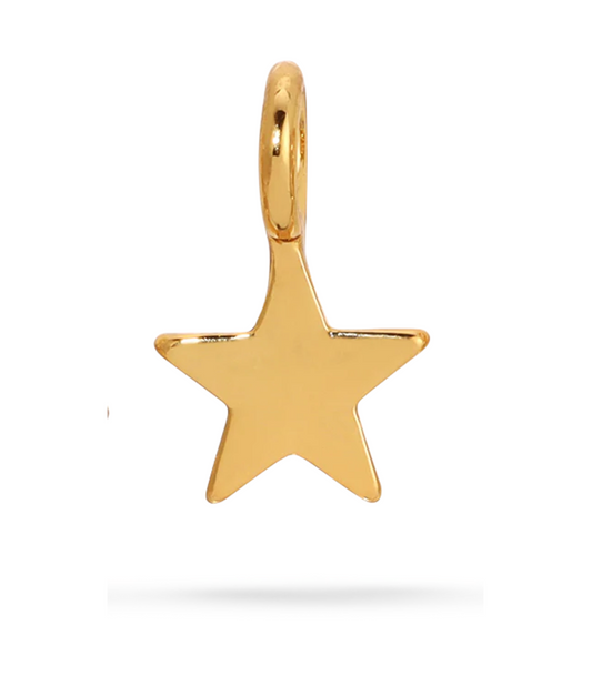 Charm Garden Gold Charm Star