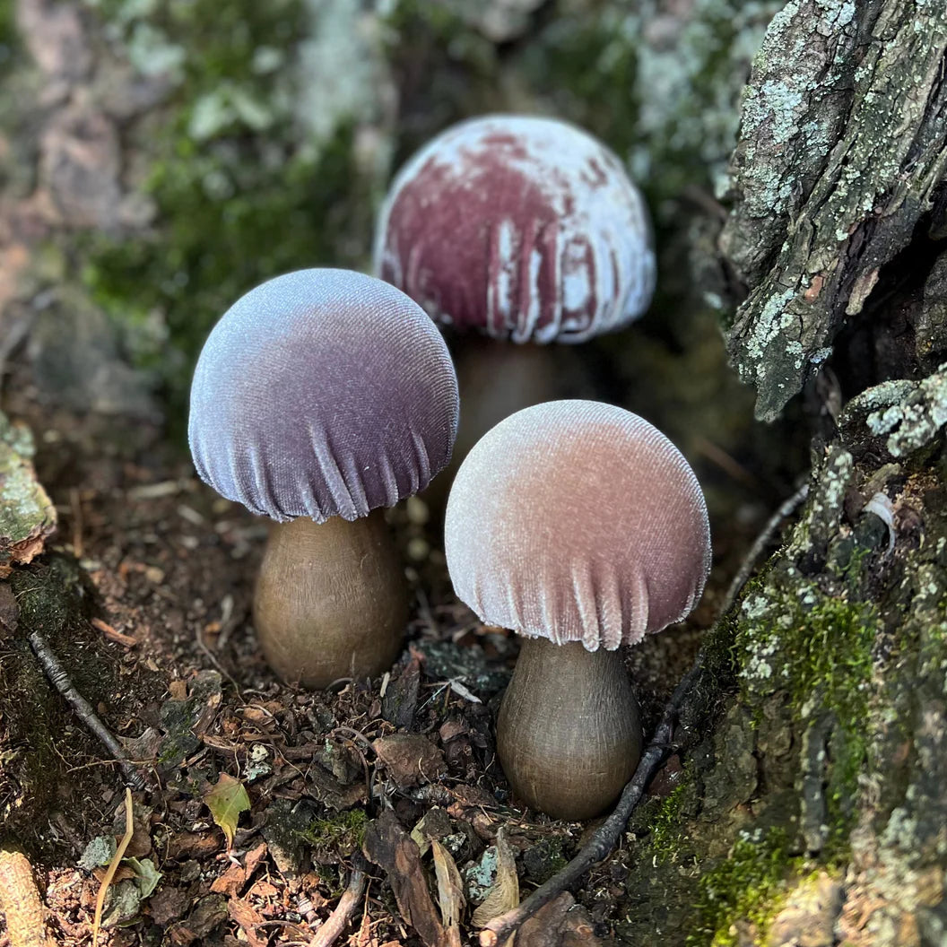 Mushroom Quartz  Set of 3 Velvet