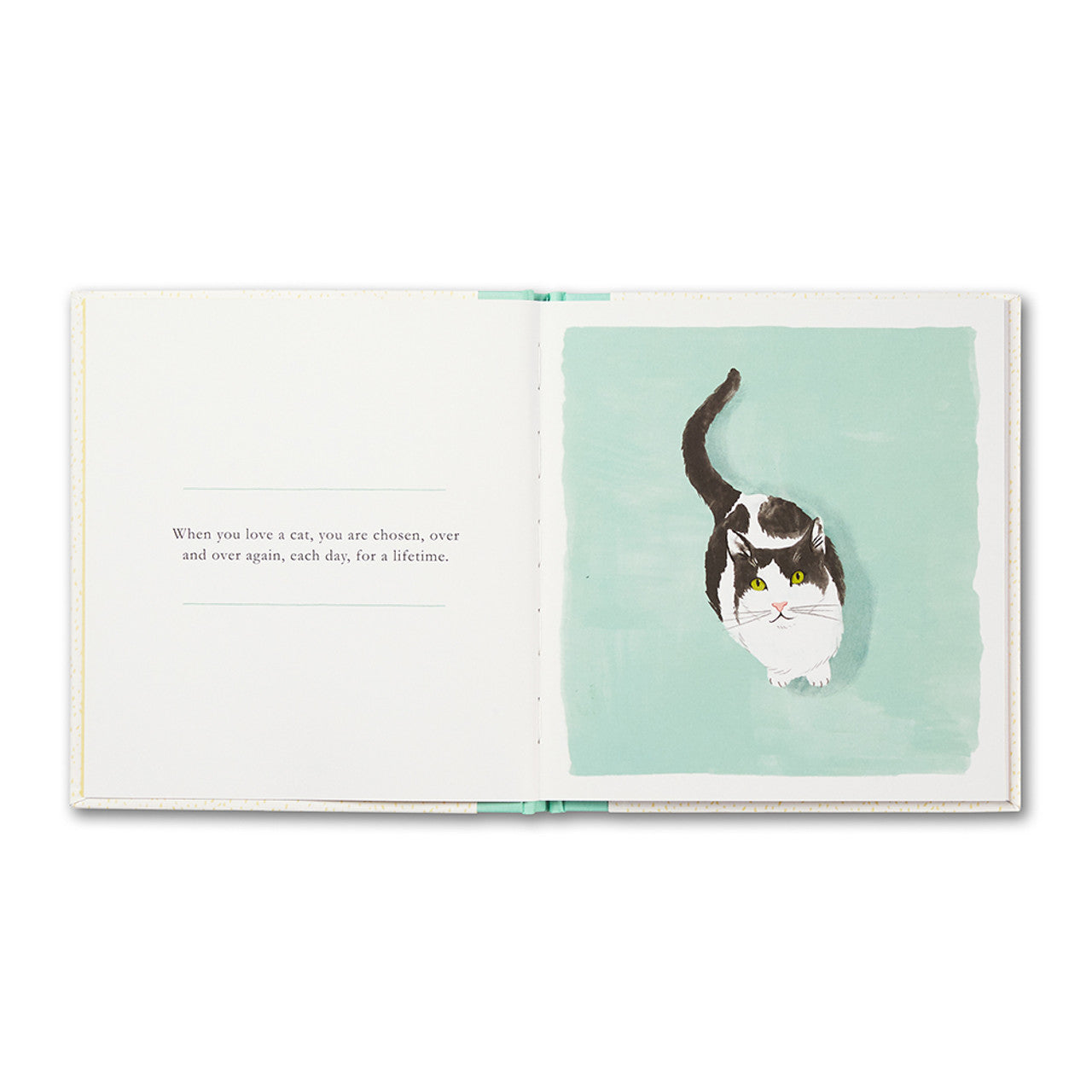 When you Love a Cat Book