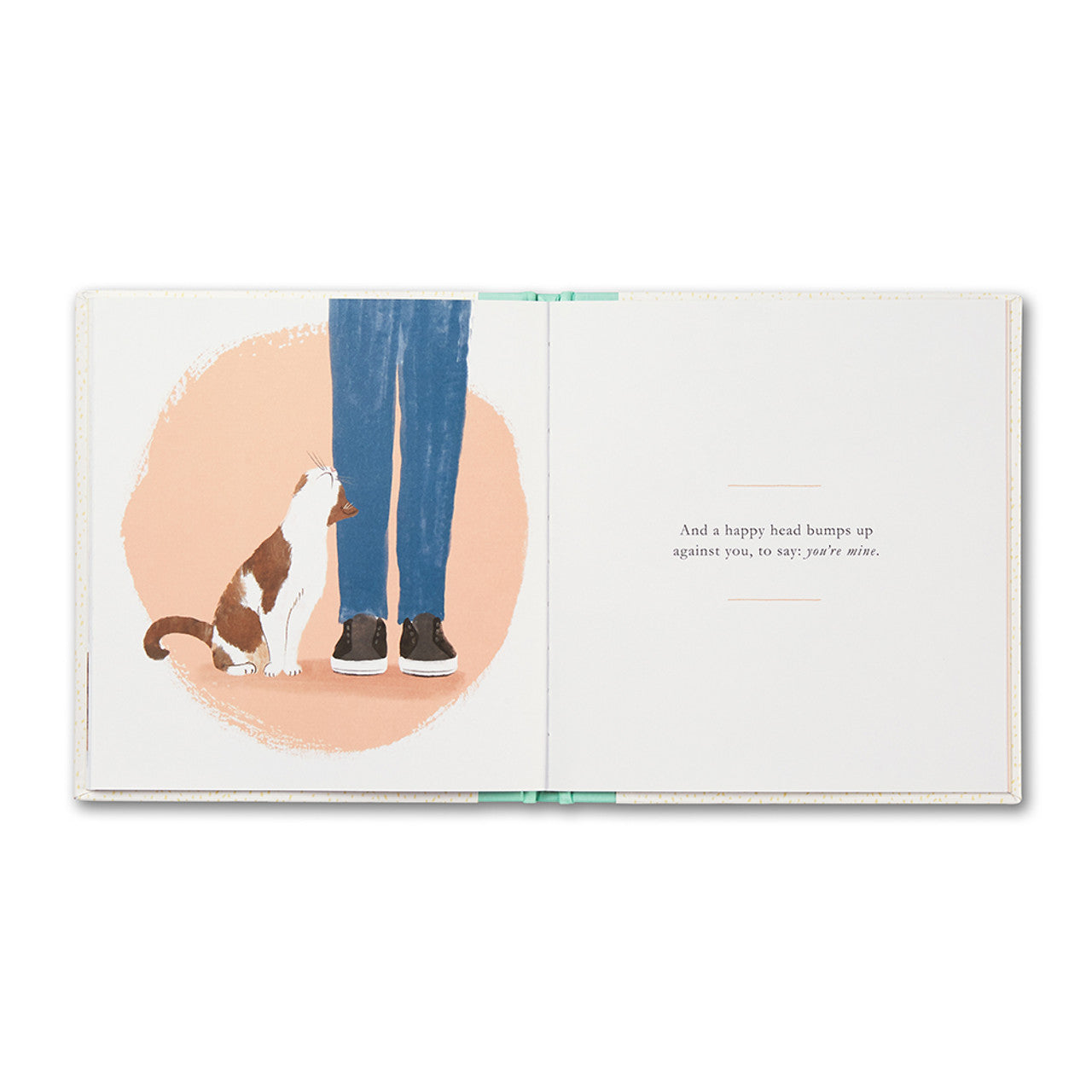 When you Love a Cat Book