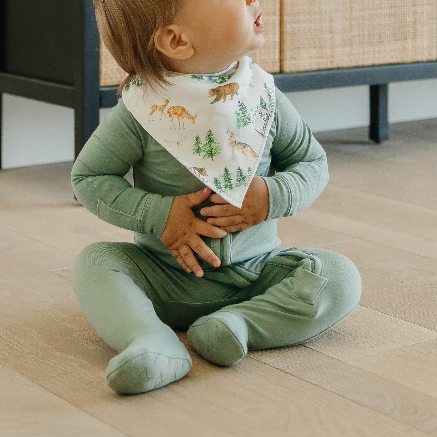 Bandana Bibs Wilder Set of 4