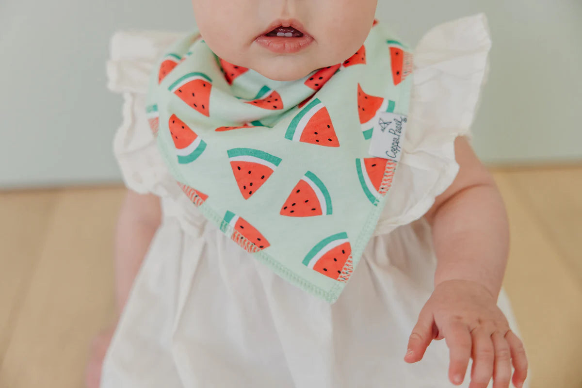 Bandana Bibs Set of 4 Clementine