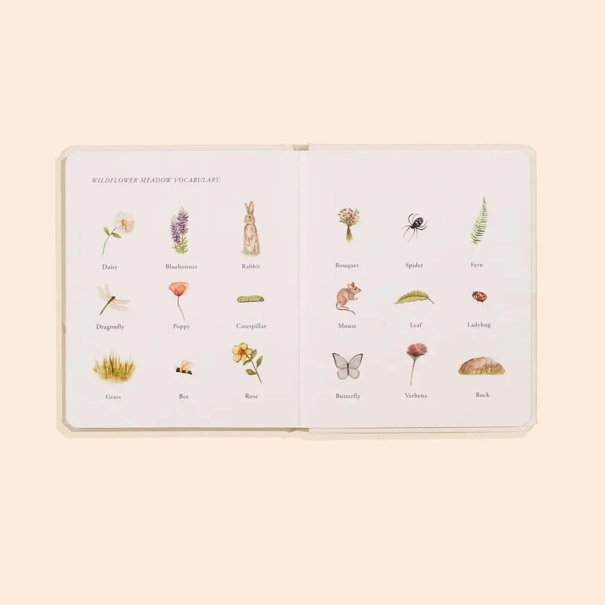 Our Little Adventures Box Set For Kids