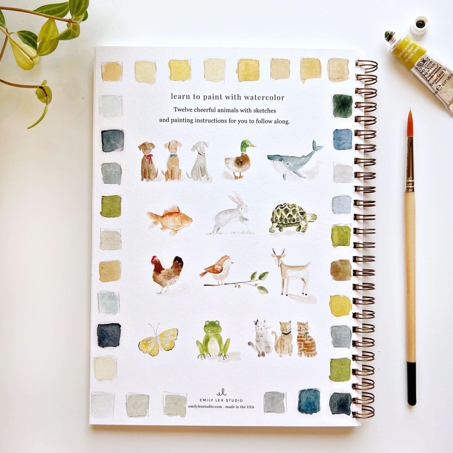 Watercolor Workbook Animals