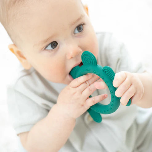 Frog Rattle Teether