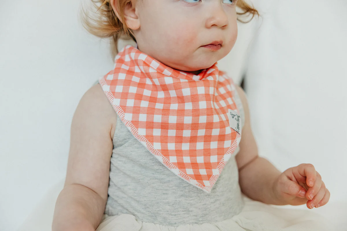 Bandana Bibs Set of 4 Goosie