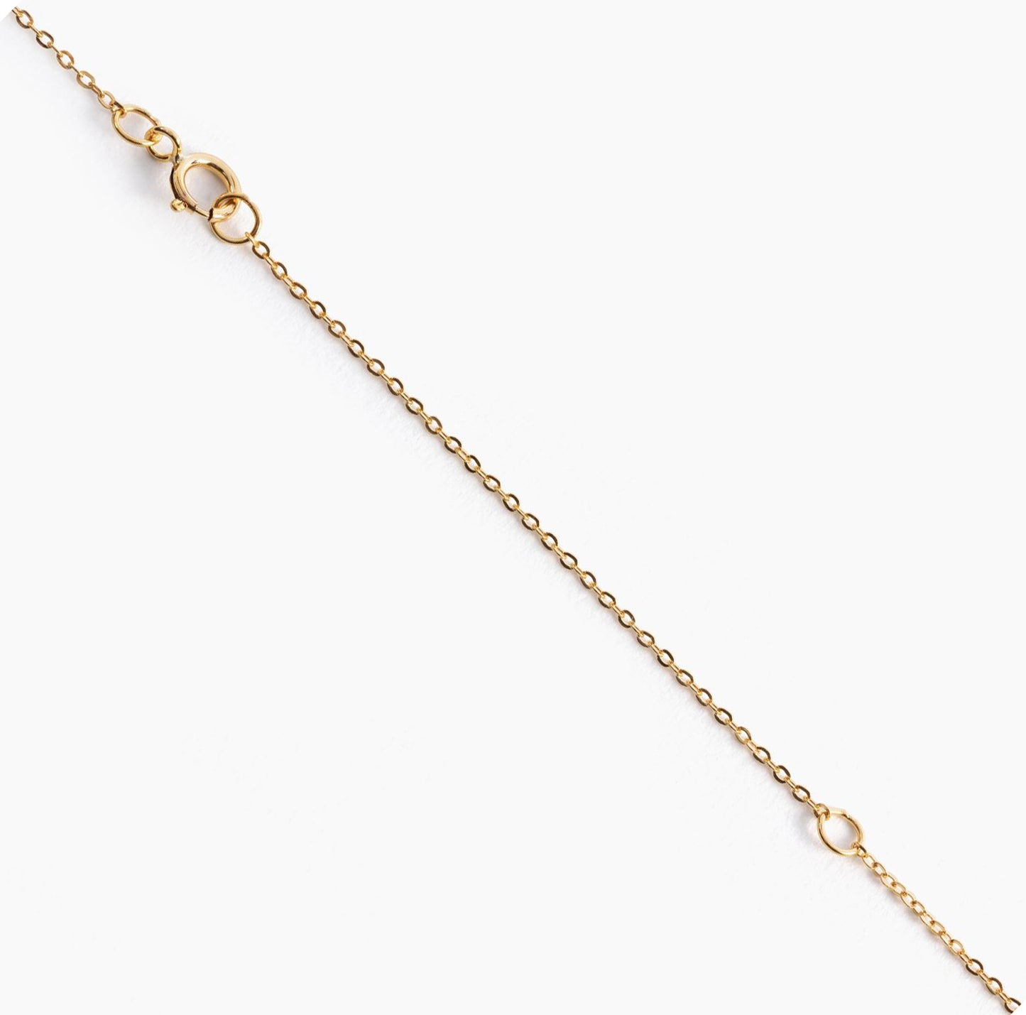 Ever Aster 14kt Gold Filled Necklace Only