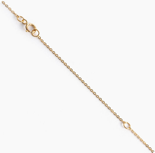Ever Aster 14kt Gold Filled Necklace Only