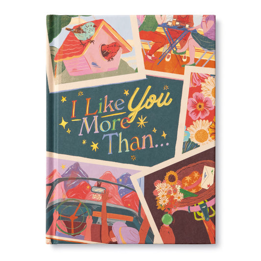 I Like You More Than... Book